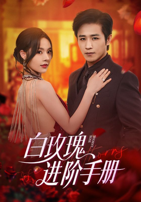 白玫瑰进阶手册