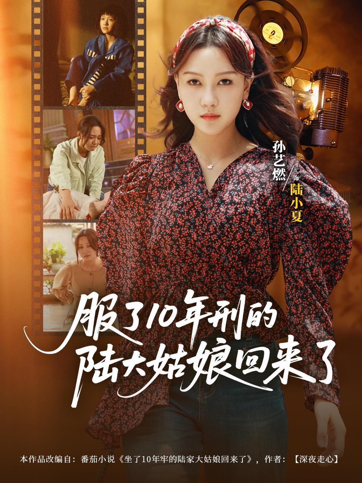 服了10年刑的陆大姑娘回来了(全集)