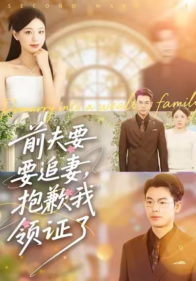 前夫要追妻，抱歉我领证了(全集)