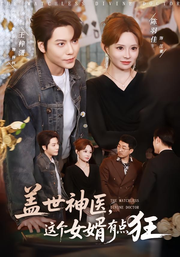 盖世神医，这个女婿有点狂(全集)