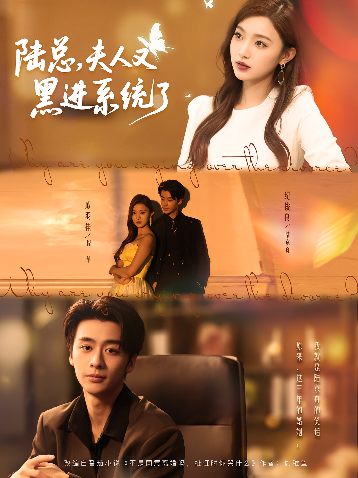 陆总，夫人又黑进系统了