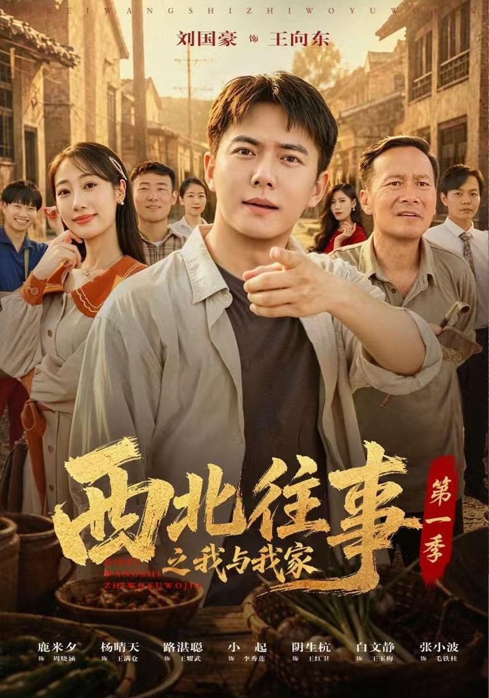 西北往事之我与我家第一季(全集)