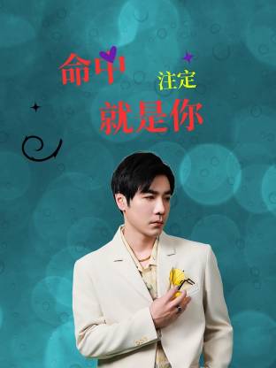 命中注定就是你(全集)