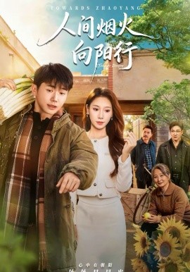人间烟火向阳行(全集)